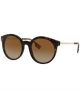 Be 0Be42963816T553 B Her Dark Havana Acetate W Nb