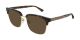 Gucci Gg0382S003 56 Man Acetate Rectangular Square Havanahavanabrown Nb